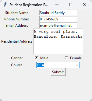 Form before submitting with sample data